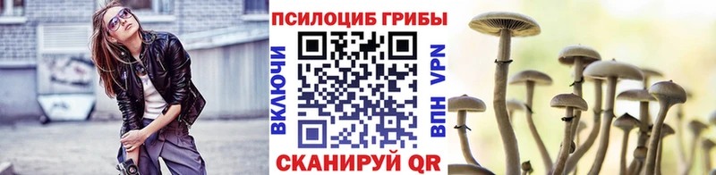 Псилоцибиновые грибы мицелий Семикаракорск